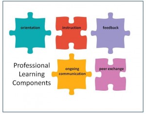 Puzzle Pieces of Professional Learning Components 